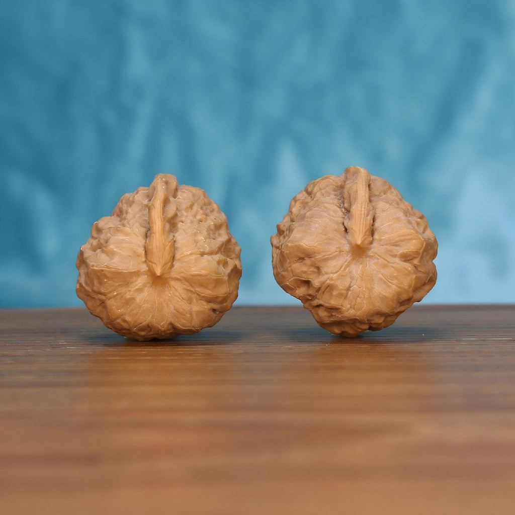 The Singular Spine | Yi-Dao-Jin Walnut Set 7561