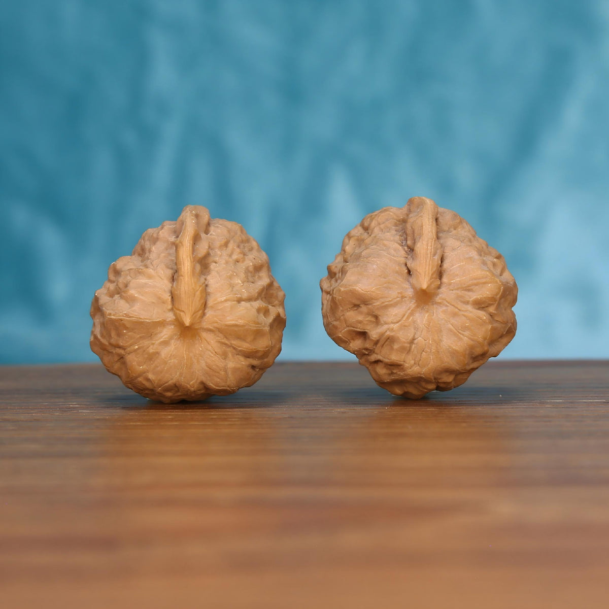 The Singular Spine | Yi-Dao-Jin Walnut Set 7561