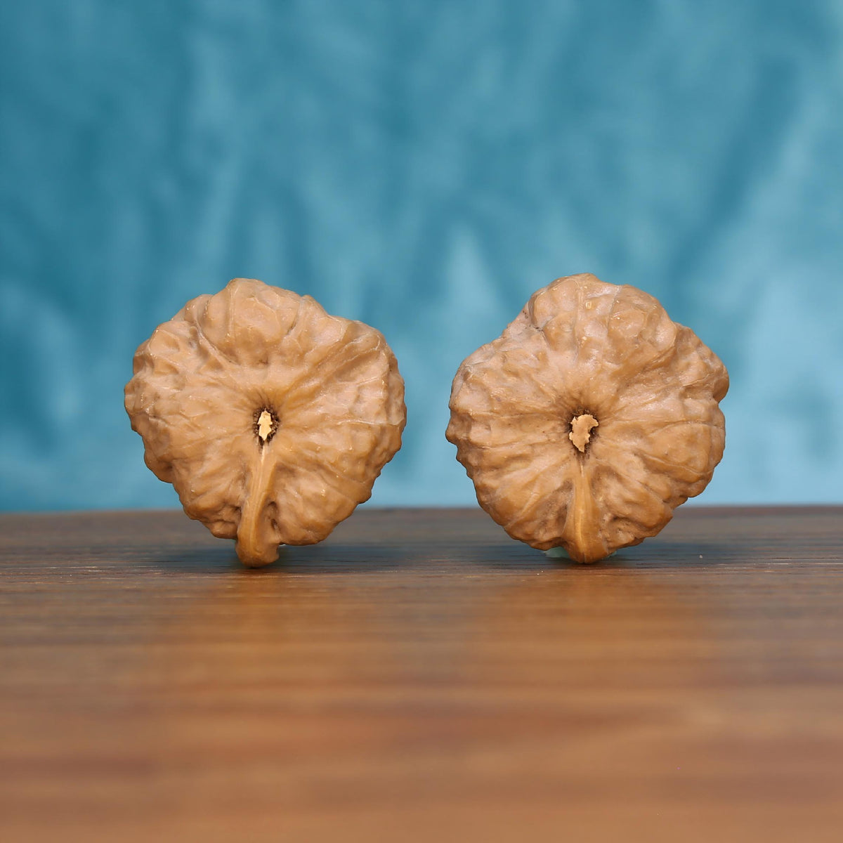 The Singular Spine | Yi-Dao-Jin Walnut Set 7561