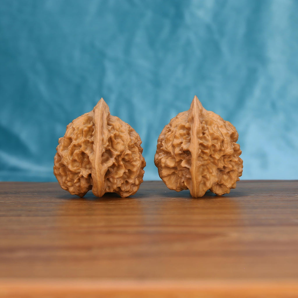 Qi-Lin-Wen Guan-Mao wenwan walnut pair alternate angle, blue background – symmetrical mythic crest ridge pattern