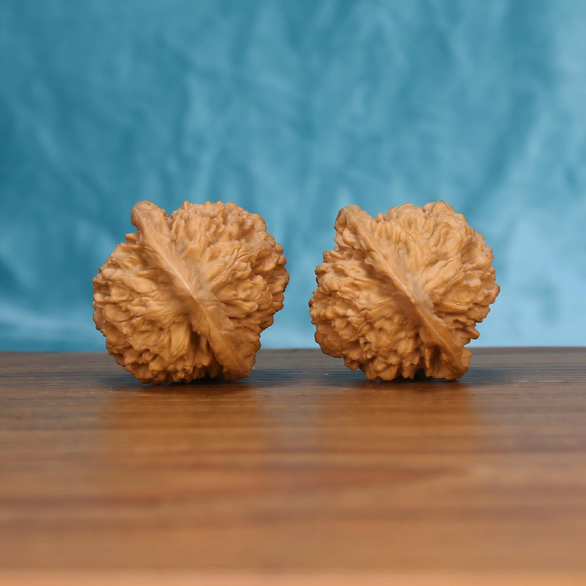 Single Qi-Lin-Wen Guan-Mao wenwan walnut bottom view on wooden surface – natural base and qilin-pattern texture detail