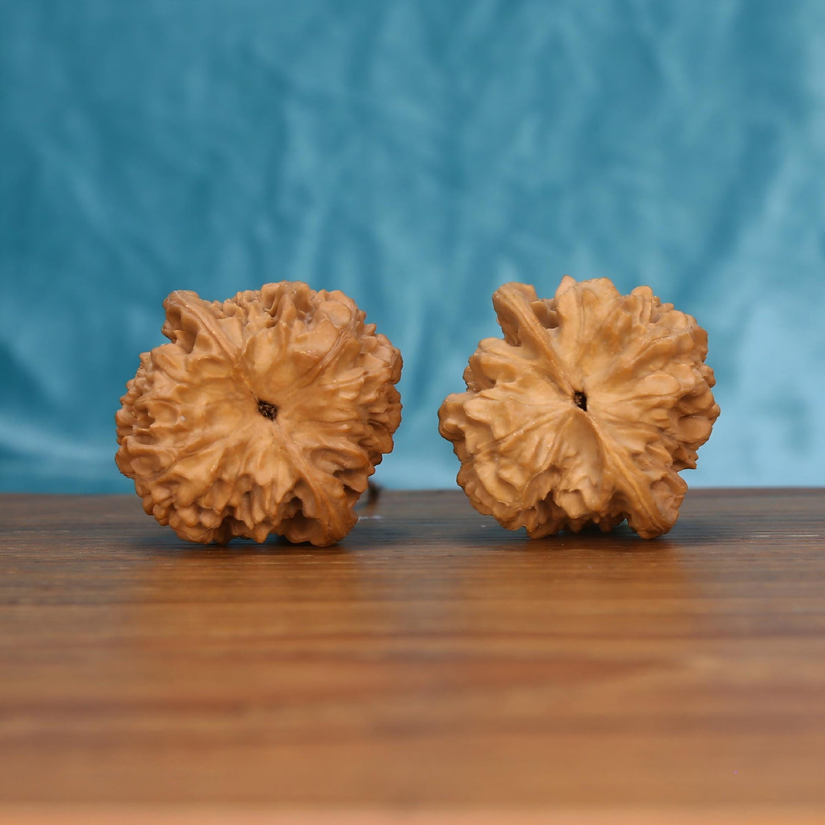 Qi-Lin-Wen Guan-Mao walnut pair bottom view on wood – natural qilin-pattern crown base, Mythic Crest premium set