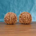 Two Si-Zuo-Lou wenwan walnuts on wooden surface, blue fabric background – matching sovereign pavilion set