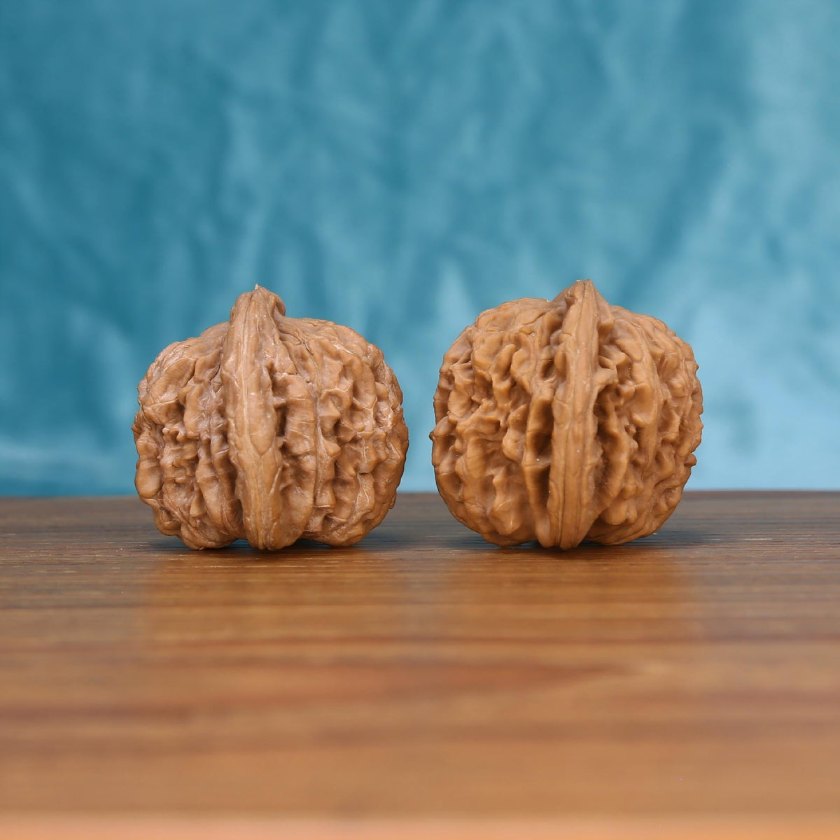  Single Si-Zuo-Lou wenwan walnut on wooden surface, blue background – bold sovereign pavilion natural texture close-up