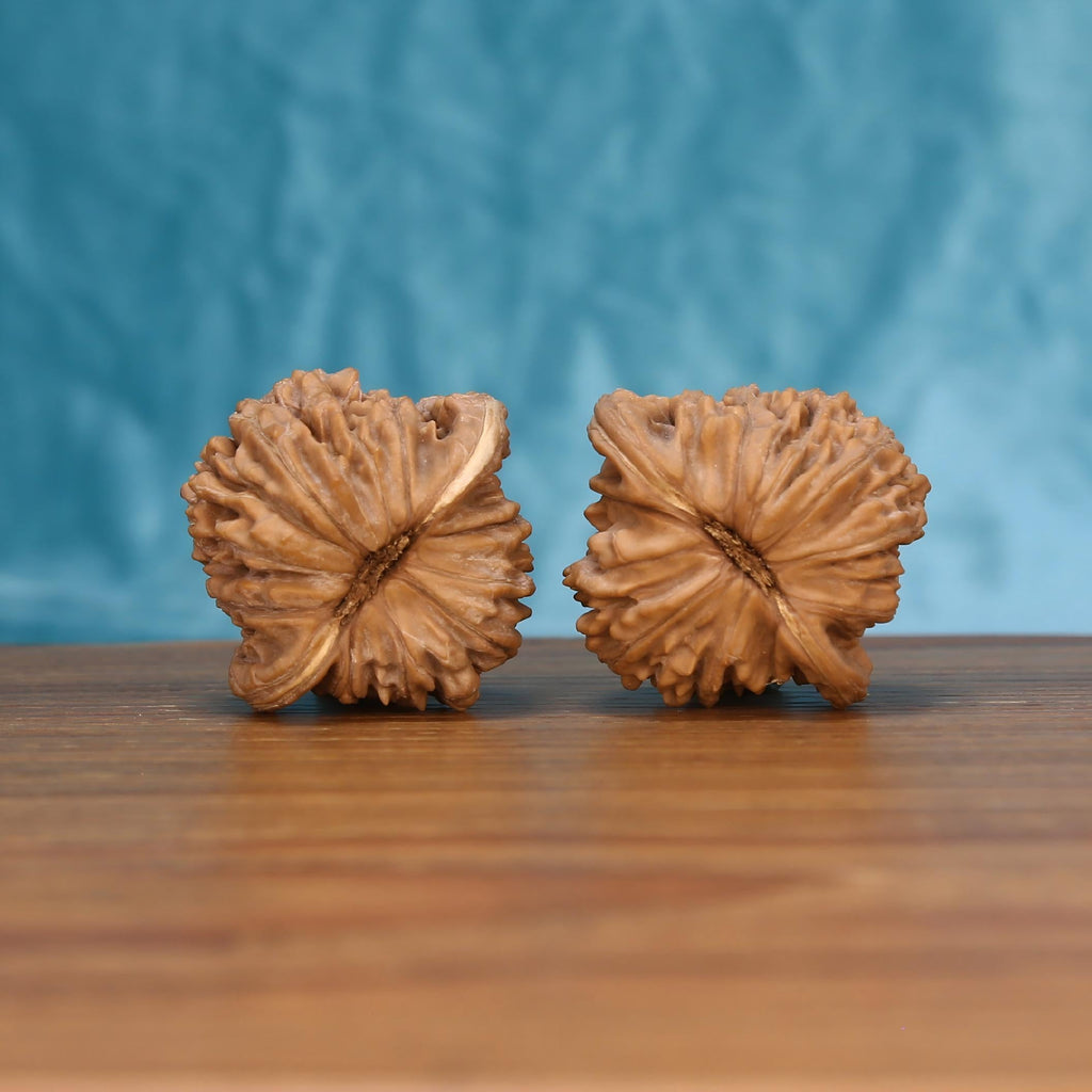 Si-Zuo-Lou walnut pair bottom view on wood – natural four-seat tower base pattern, Sovereign Pavilion premium set