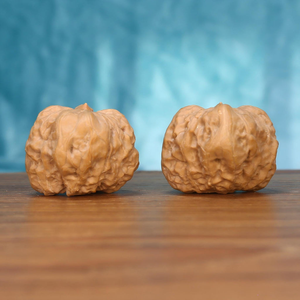 Yi-Dao-Jin walnut pair front view – continuous central crest and 8.1g untamed organic mass variance
