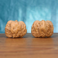 Yi-Dao-Jin walnut pair front view – continuous central crest and 8.1g untamed organic mass variance
