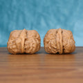 Two Yi-Dao-Jin wenwan walnuts on wooden surface, blue fabric background – matching singular spine set