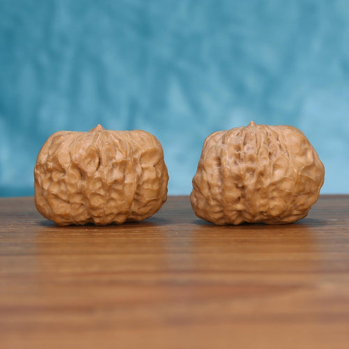 Yi-Dao-Jin walnut set side profile on wood, blue background – single golden blade ridge grain detail