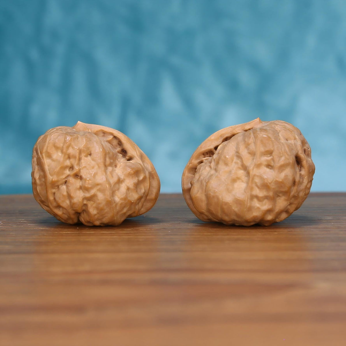 Single Yi-Dao-Jin wenwan walnut on wooden surface, blue background – bold singular spine natural texture close-up