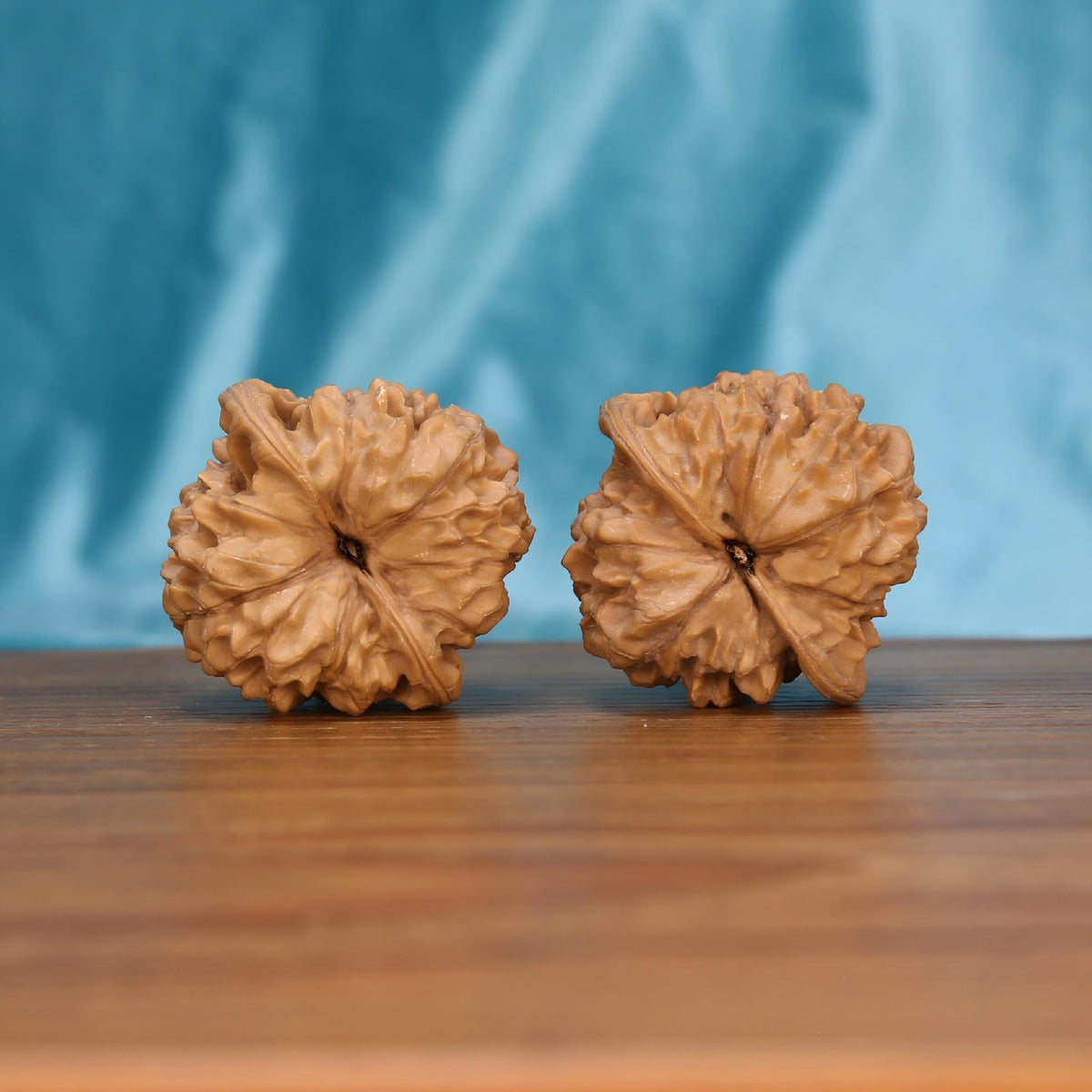 Mythic Crown walnut botanical artifacts by mistbodhi – wild-harvested Guan-Mao cultivar for focus
