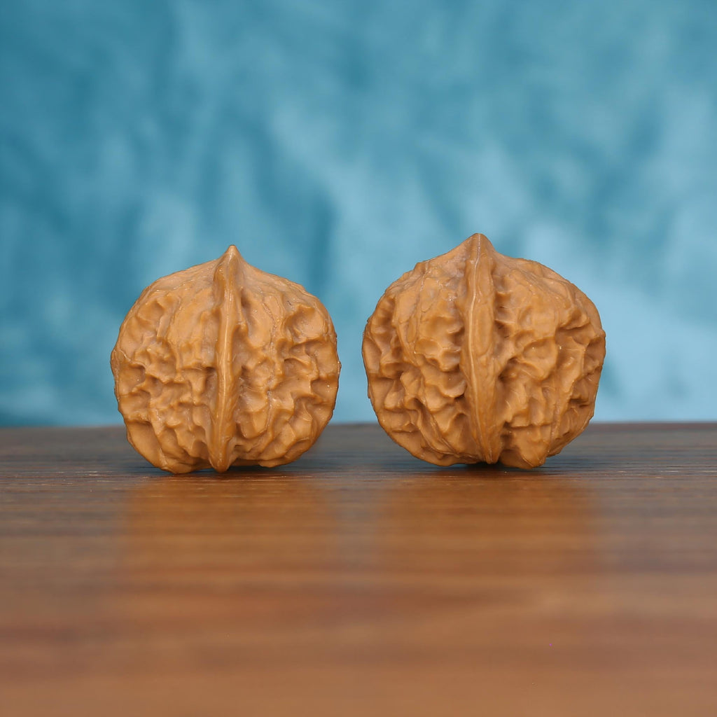 Two wenwan walnuts showing vertical seam and ridged surface, side view on wooden surface