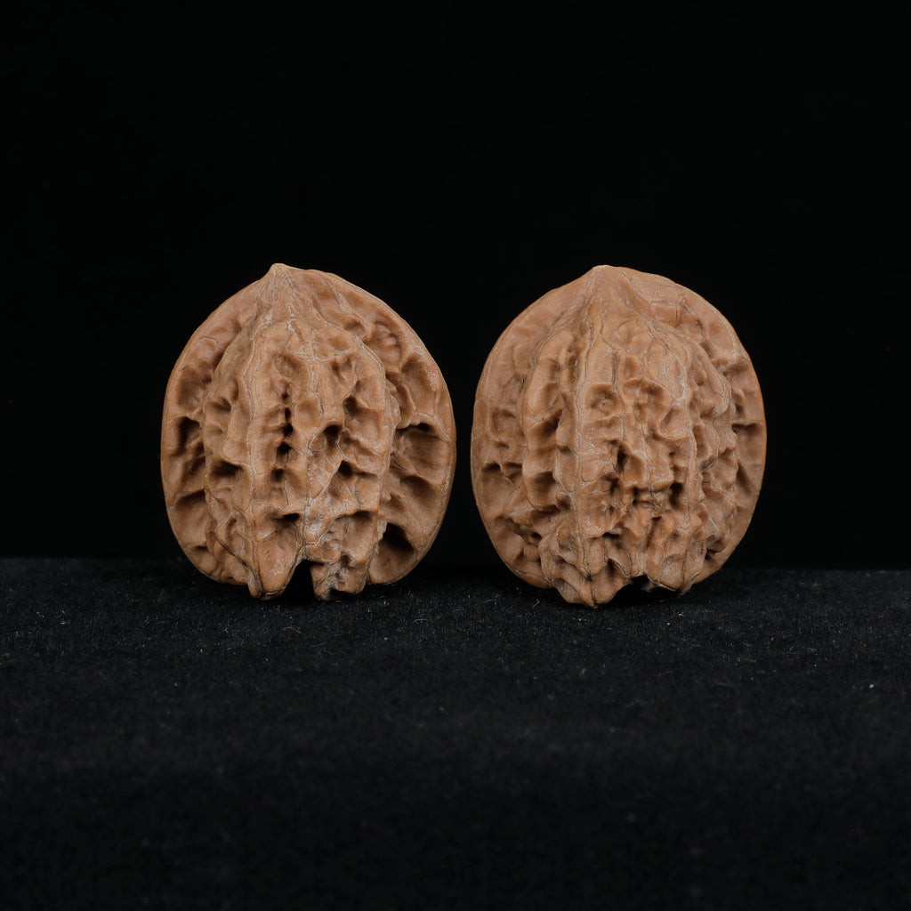 CWY11 wenwan walnut pair front view, natural ridged texture, wild unclassified 荒璞 Chinese walnut
