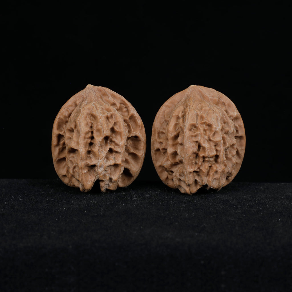 Wenwan Walnut Pair CWY11 · 荒璞 Wild Unclassified · Raw & Unpolished