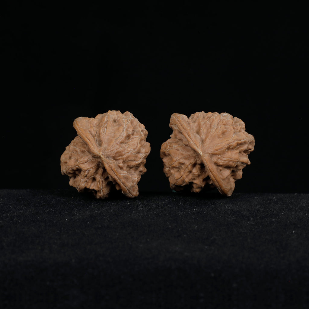 Close-up of CWY11 Sphere B, 36.5mm wild 荒璞 wenwan walnut, natural grain and ridge detail
