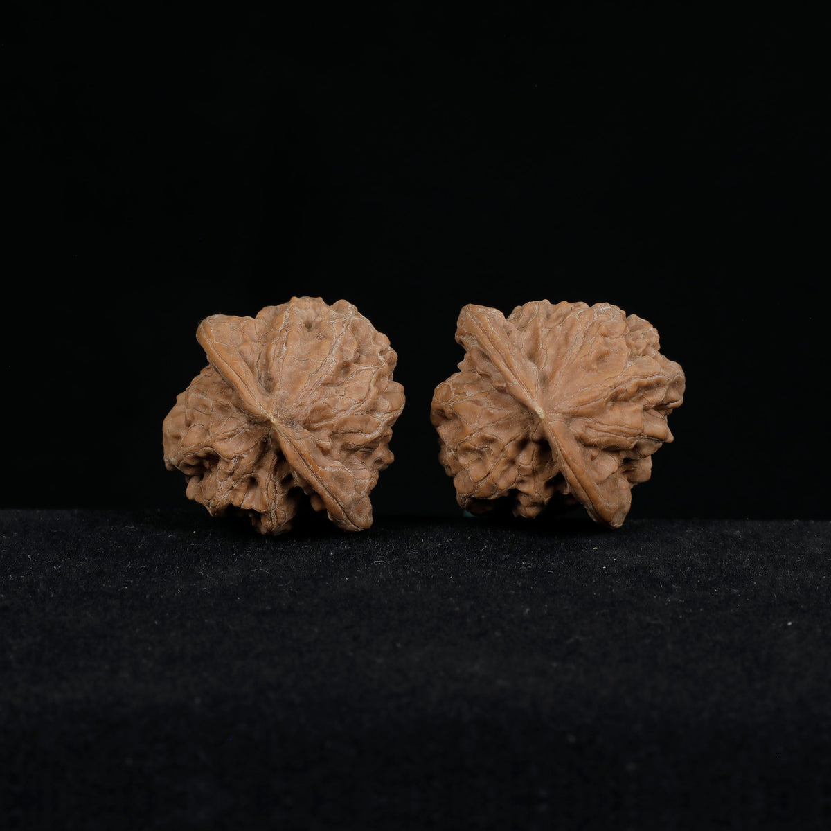 Close-up of CWY11 Sphere B, 36.5mm wild 荒璞 wenwan walnut, natural grain and ridge detail
