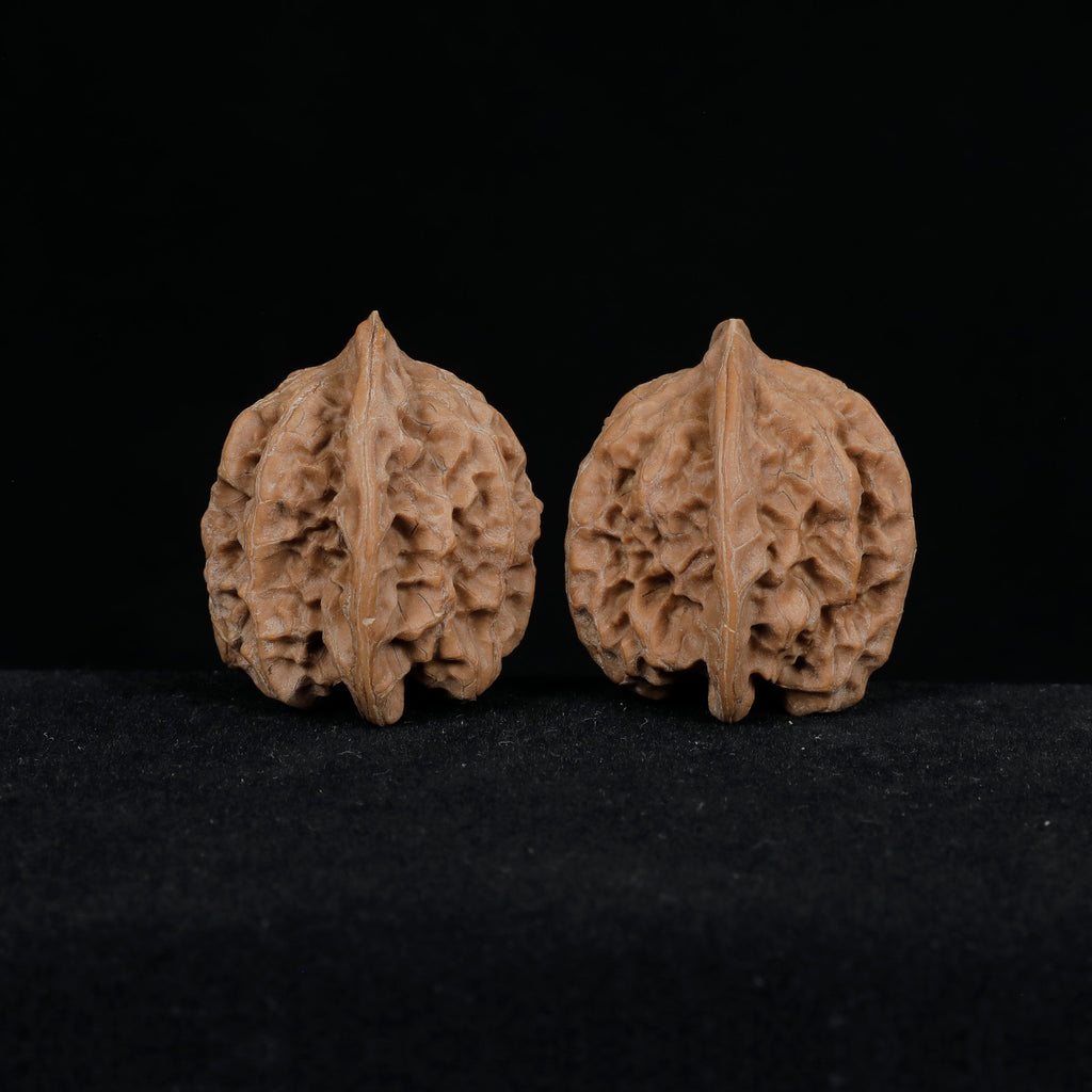 Close-up of CWY11 Sphere A, 36mm wild wenwan walnut, raw unpolished surface texture detail
