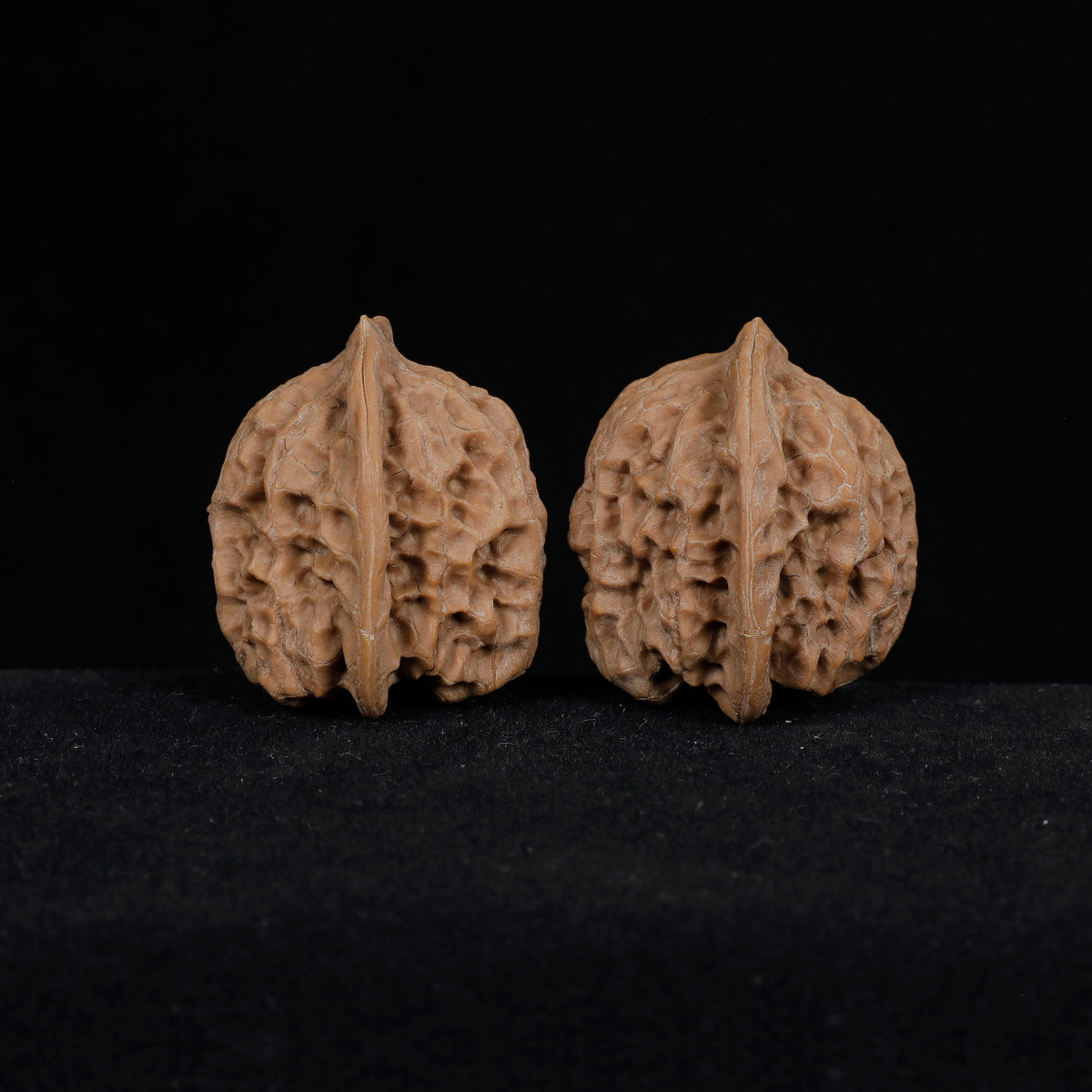 CWY11 wild walnut pair side profile showing organic asymmetry, raw 荒璞 wenwan walnut 36mm
